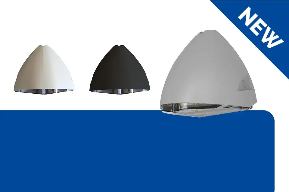 New Product Launch – Flosse Wall Pack